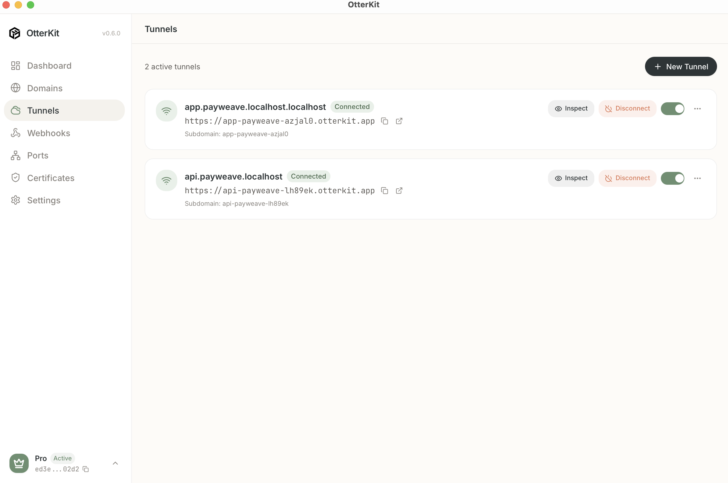 OtterKit Public Tunnels